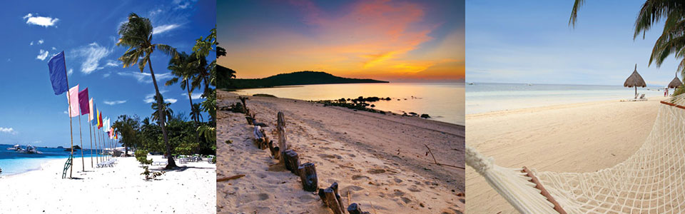 header images